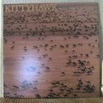 Платівка Кіттіхоук | Kittyhawk – Race For The Oasis