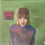 Платівка David Sylvian – Blemish|Девід Сільвіан-Пляма