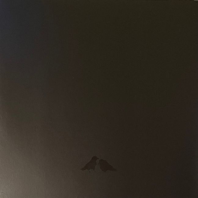 Sigur Ros With Steindor Andersen, Hilmar Orn Hilmarsson And Maria Huld Markan Sigfusdottir – Odin's Raven Magic (Vinyl)