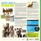 The Beach Boys – Surfin’ Safari (LP, Album, Limited Edition, Green Vinyl)