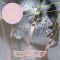 Suicide – Dream Baby Dream (EP, 12", 45 RPM, Single, Limited Edition, Orange Vinyl)