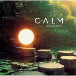 Calm Classical (2LP, Compilation, 180g, Vinyl)