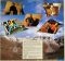 Uriah Heep – Head First (LP, Album, Reissue, 180 Gram, Vinyl)