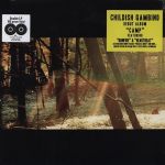 Платівка Childish Gambino – Camp|По-дитячому Гамбіно-Табір(2xLP)