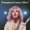Peter Frampton – Frampton Comes Alive! (2LP, Album, Vinyl)