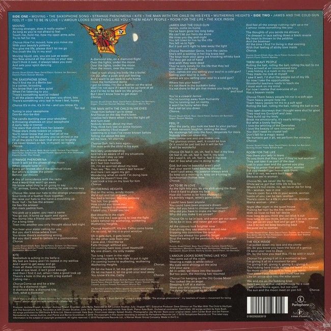 Kate Bush – The Kick Inside (LP, Album, Misprint, Reissue, Remastered, 180g, Vinyl)