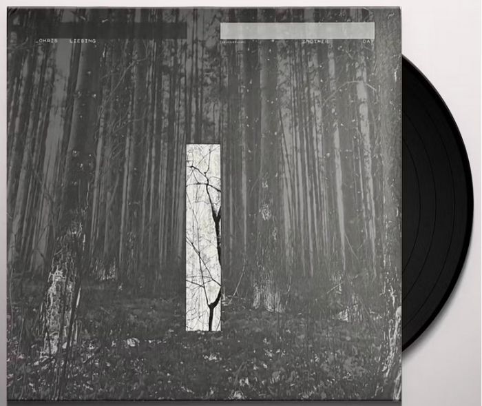 Chris Liebing – Another Day (2LP, Album, Vinyl)