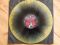 The Michael Schenker Group - Immortal (LP, Album, Limited Edition, Stereo, Gold And Black Splatter)