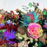 Darkstar – News From Nowhere (2EP, 12", 33 RPM, Album, Vinyl)