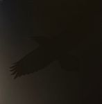 Sigur Ros With Steindor Andersen, Hilmar Orn Hilmarsson And Maria Huld Markan Sigfusdottir – Odin's Raven Magic (Vinyl)