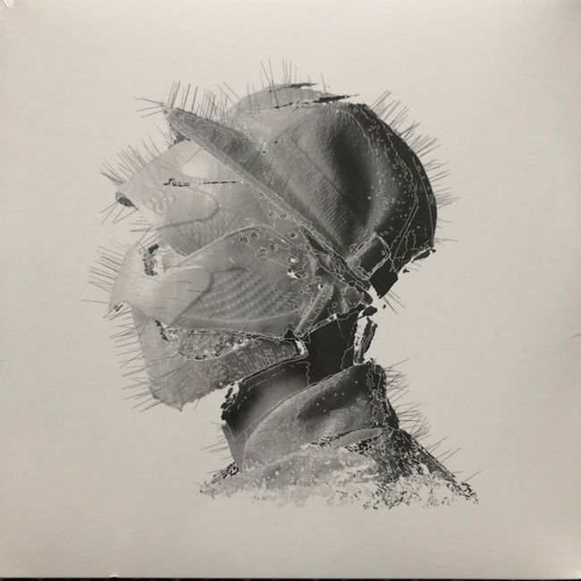 Woodkid – The Golden Age (Vinyl)