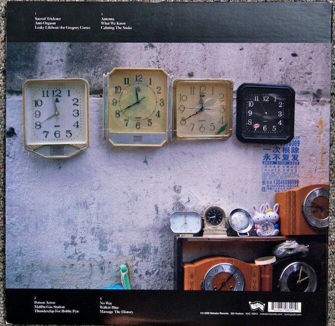 Sonic-Youth – The Eternal (Vinyl)