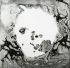 Платівка Radiohead – A Moon Shaped Pool (Vinyl)  | Радіохед