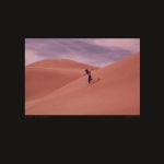 Bing & Ruth* – Species (Vinyl)