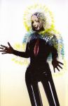 Bjork – Vulnicura (Cassette)