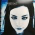 Платівка Evanescence – Fallen