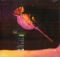 The Breeders – Pod (LP, Album,Vinyl)