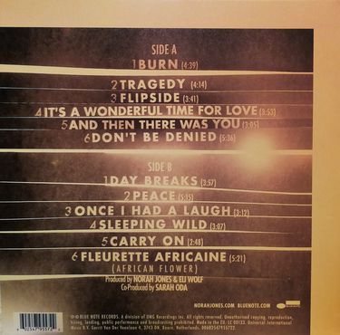 Norah Jones - Day Breaks (Vinyl)