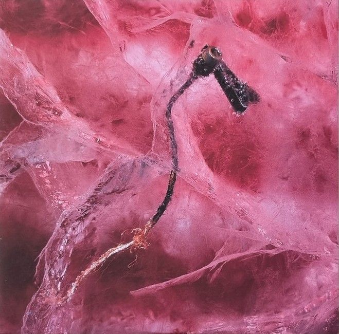 Recoil – Liquid (2LP, Album, Reissue, Vinyl)