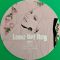 Платівка Lana Del Rey – Did You Know That There's A Tunnel Under Ocean Blvd(2LP, LP, Album, Limited Edition, Green, Alternative Artwork)|Лана Дель Рей-Чи знаєте ви, що під океанським бульваром є тунель?